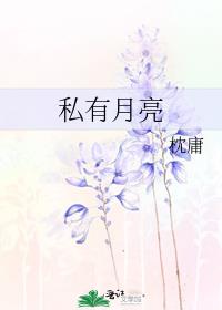 ˽