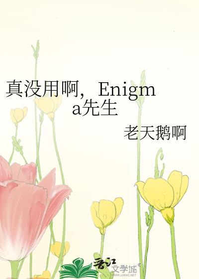 ûðEnigma