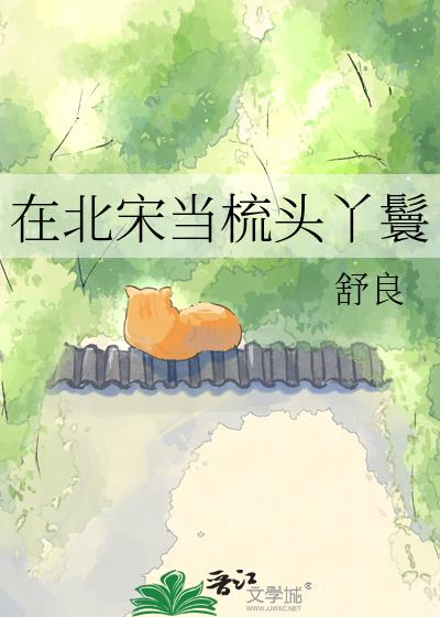 在北宋当梳头丫鬟