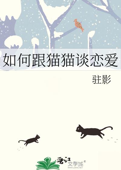 如何跟猫猫谈恋爱