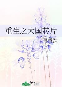 ֮оƬ