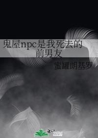 npcȥǰ
